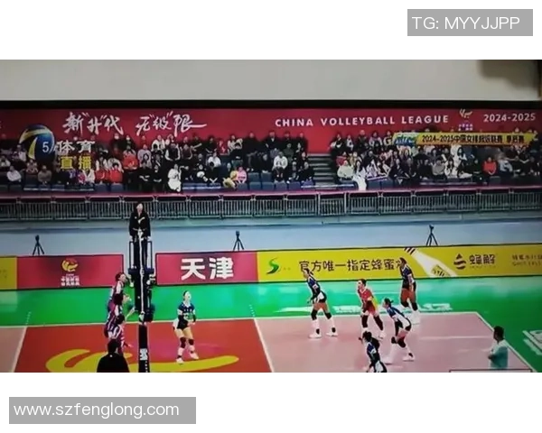 上海排球队比赛经验的创新与变革引发热议