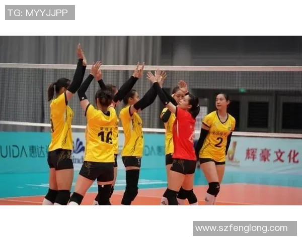 上海排球队以74分领跑总决赛积分榜展现强劲实力