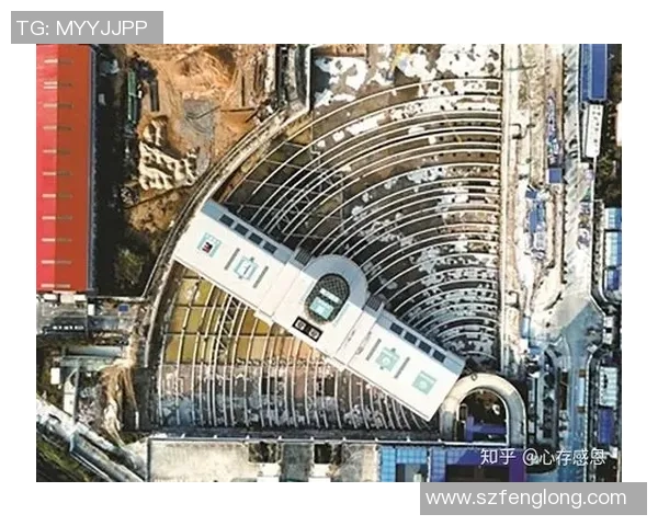 武汉网球队崛起之路揭秘：从默默无闻到世界舞台的辉煌历程