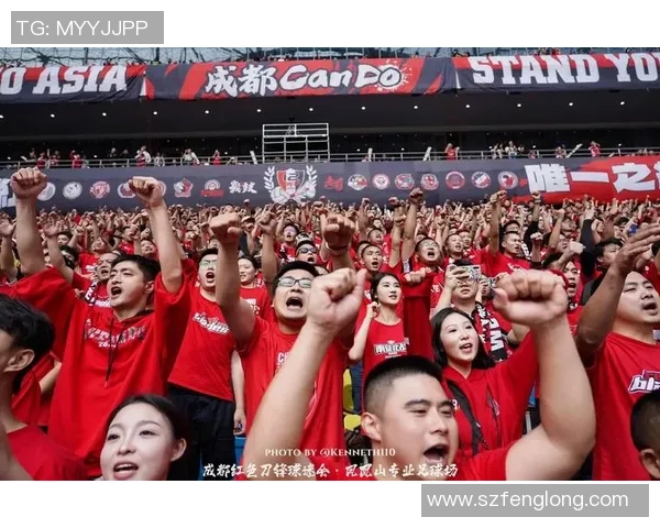 探索皇冠足球图片背后的故事与魅力，感受足球文化的独特魅力与激情