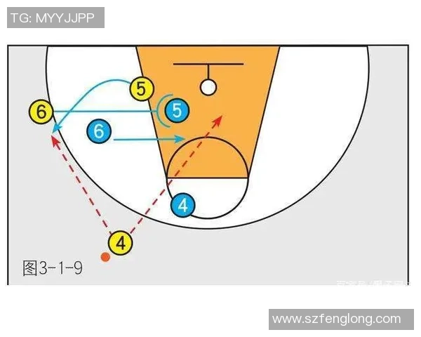 重庆篮球队区域防守解析与战术得失分析探讨