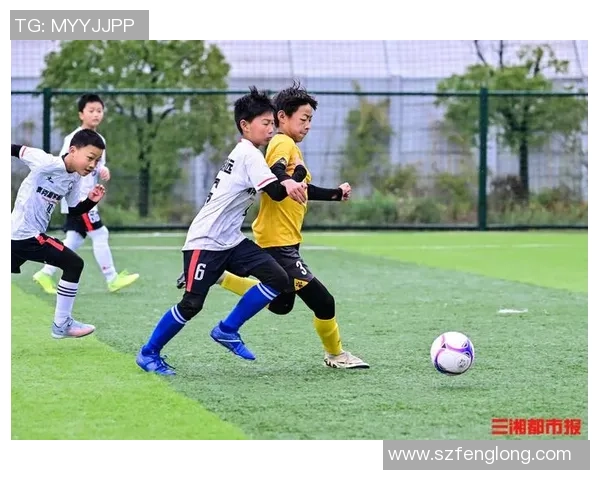 推动足球普及的有效策略与实践探索助力全民健身与青少年成长