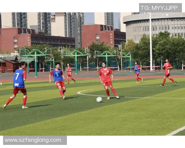 清华大学足球文化的传承与发展探索：从校园到职业的多维视角