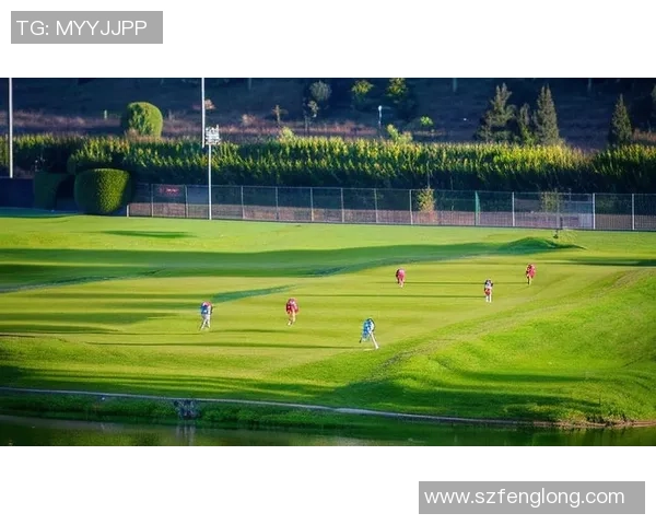 激情四溢的绿茵场上带你领略足球歌曲的魅力与热血奋战的精神