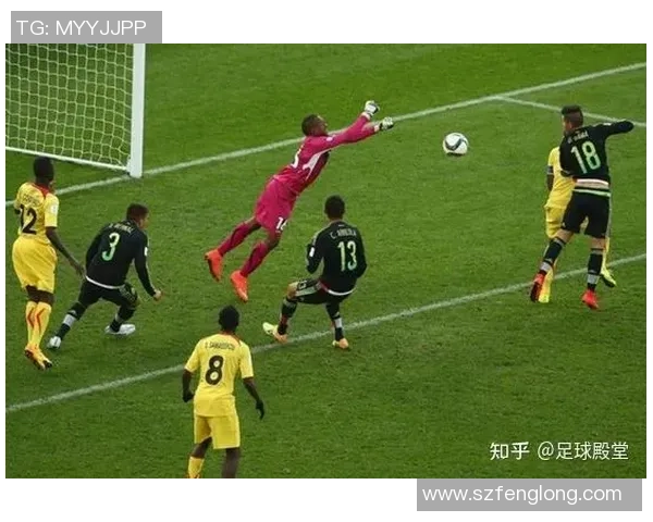 足球比分赢家揭秘如何精准预测比赛结果提升你的投注技巧与胜率