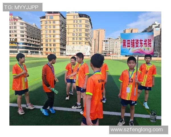 足球飞了背后的故事与梦想如何在绿茵场上绽放光彩 足球飞了背后的故事与梦想如何在绿茵场上绽放光彩