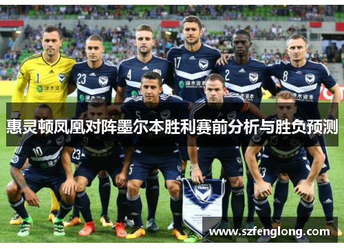 惠灵顿凤凰对阵墨尔本胜利赛前分析与胜负预测 惠灵顿凤凰对阵墨尔本胜利赛前分析与胜负预测