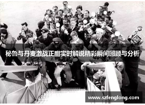 秘鲁与丹麦激战正酣实时解说精彩瞬间回顾与分析