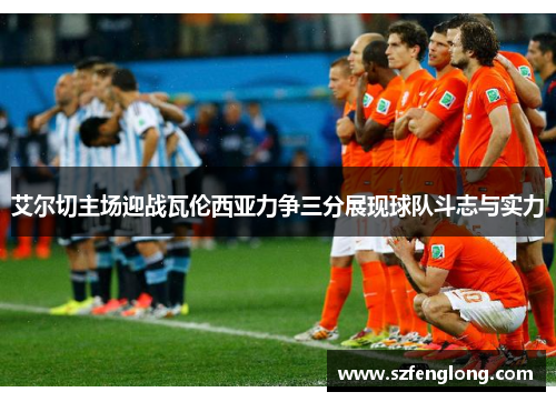 艾尔切主场迎战瓦伦西亚力争三分展现球队斗志与实力